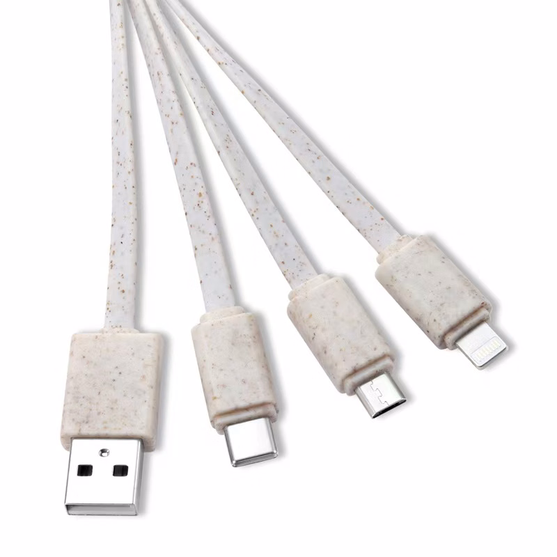 Keychain Eco Friendly 3 in 1 Cable