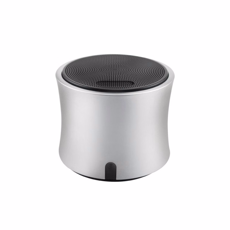 Thunder Wireless Speaker