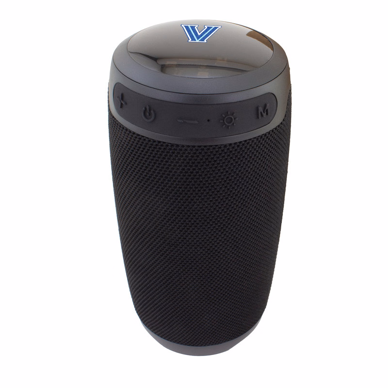 Castwave Speaker