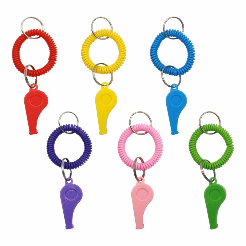 Whistle With Coil