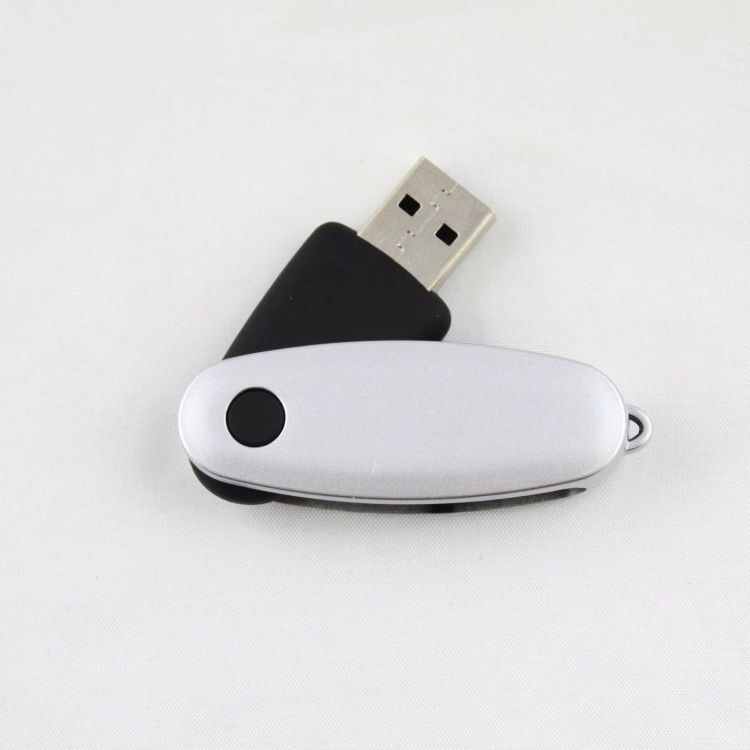 ABS Plastic Oval Shape Swivel 2GB USB Flash Drive Disk