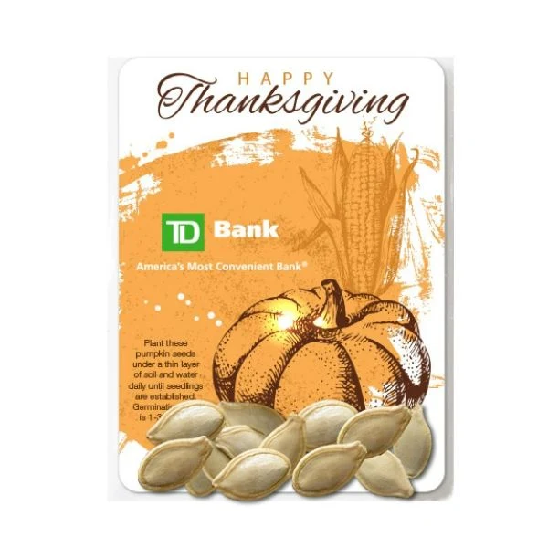 Pumpkin Seed Packets 1