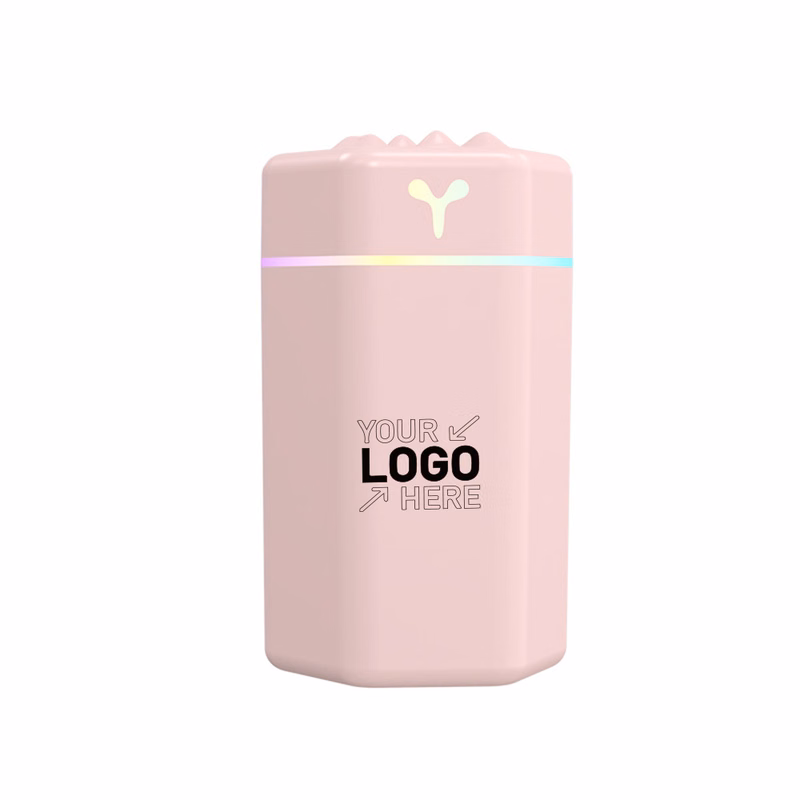 Small Cute Humidifier