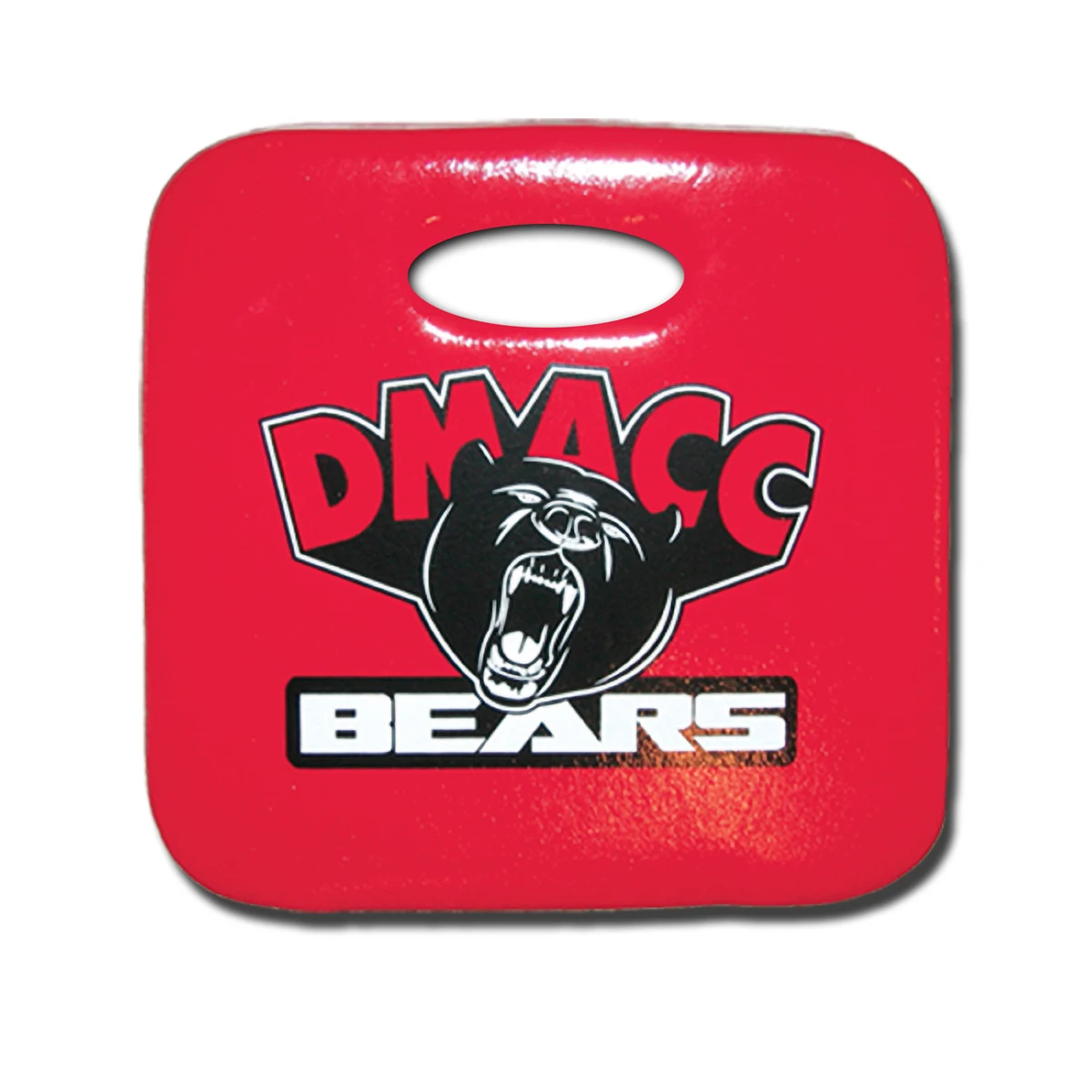 Stadium Seat Cushions 1