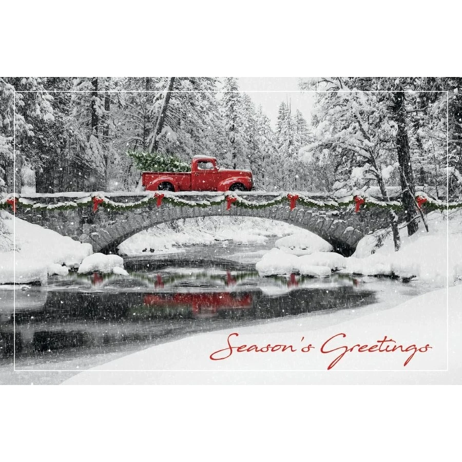 Homeward Bound Holiday Postcards 1
