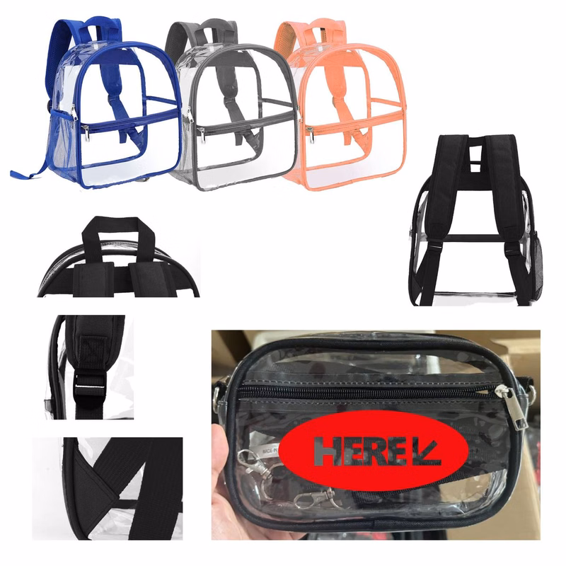 Transparent Backpack