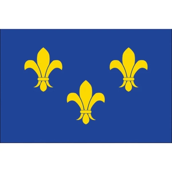 Special Historical Stick Flag - Blue Fleur de Lis 1