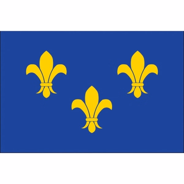 Special Historical Stick Flag - Blue Fleur de Lis