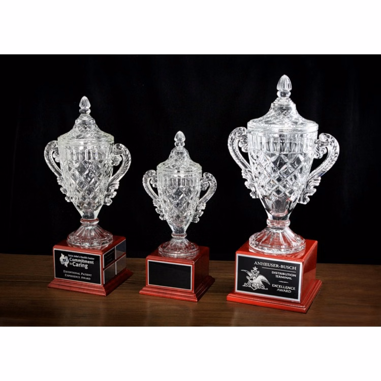 11" Crystal Cup Award w/Perpetual Plates