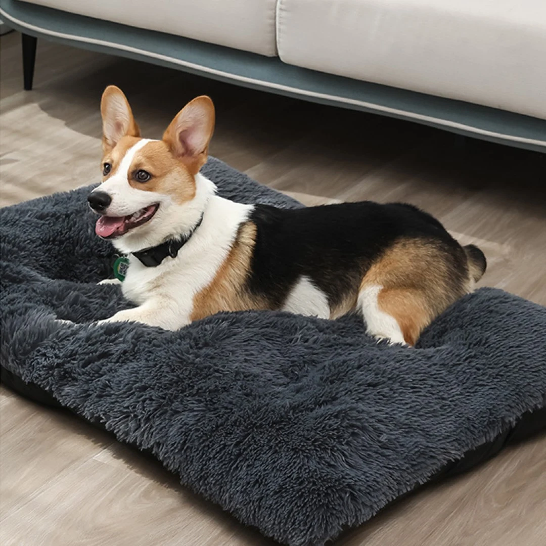 Pet Blanket Mat 1
