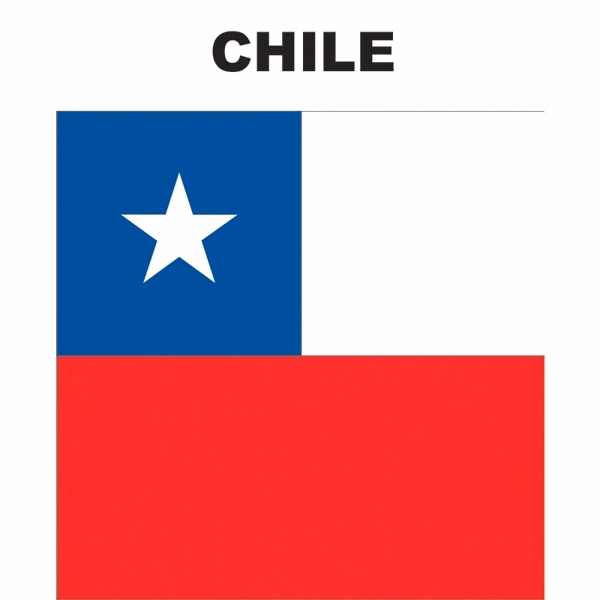 Mini Banner - Chile