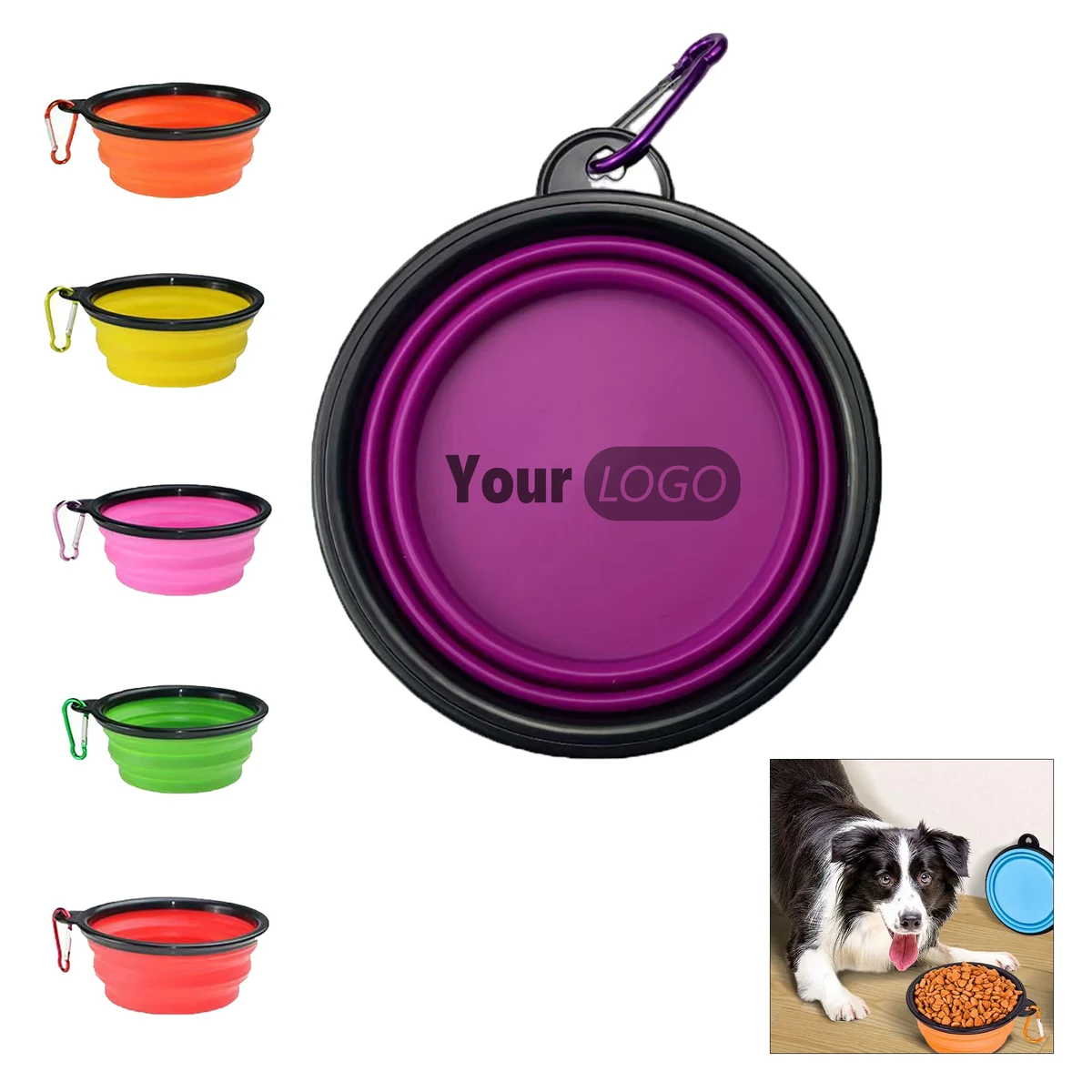 Portable Pet Feeding and Watering Bowl 1