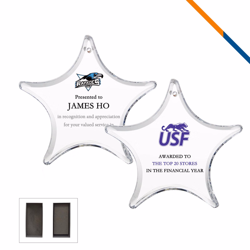 Vicki Star Award Ornament