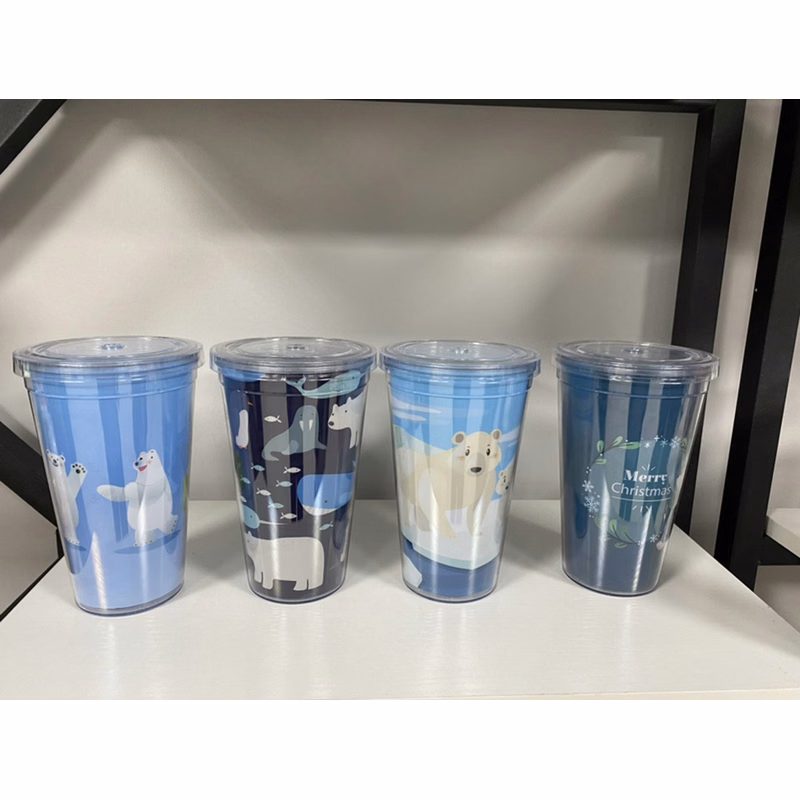 Double Wall Tumbler with Straw