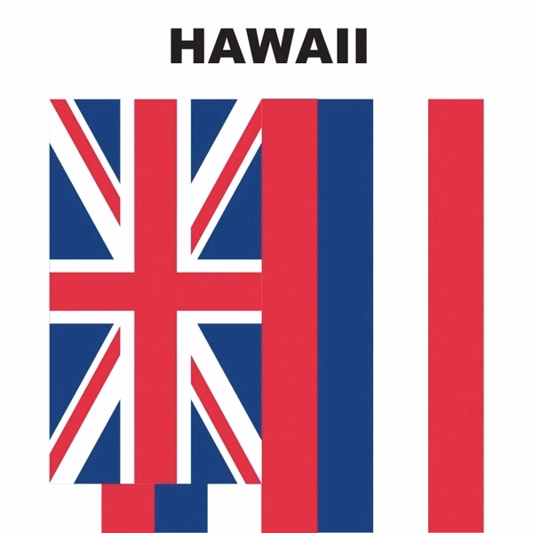 Mini Banner - Hawaii