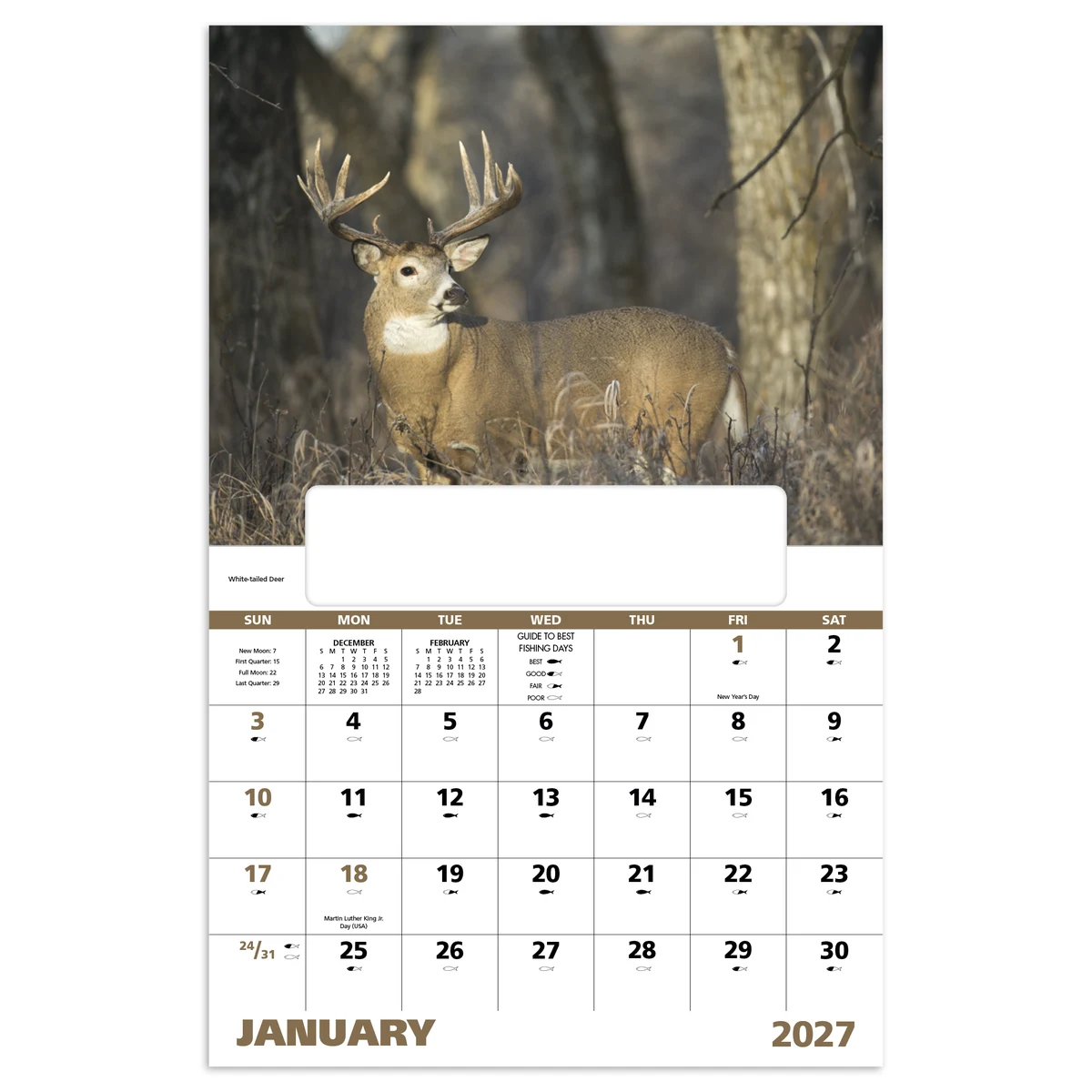 Good Value™ Wildlife Portraits - Window Calendar 1