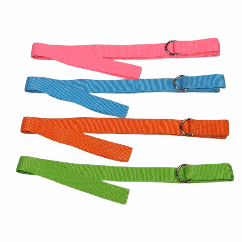 pet leash