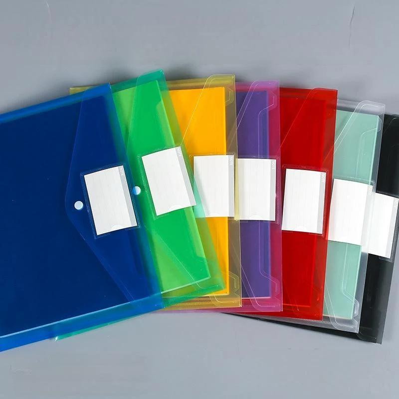 A4 Snap Label Transparent Document Bag 1