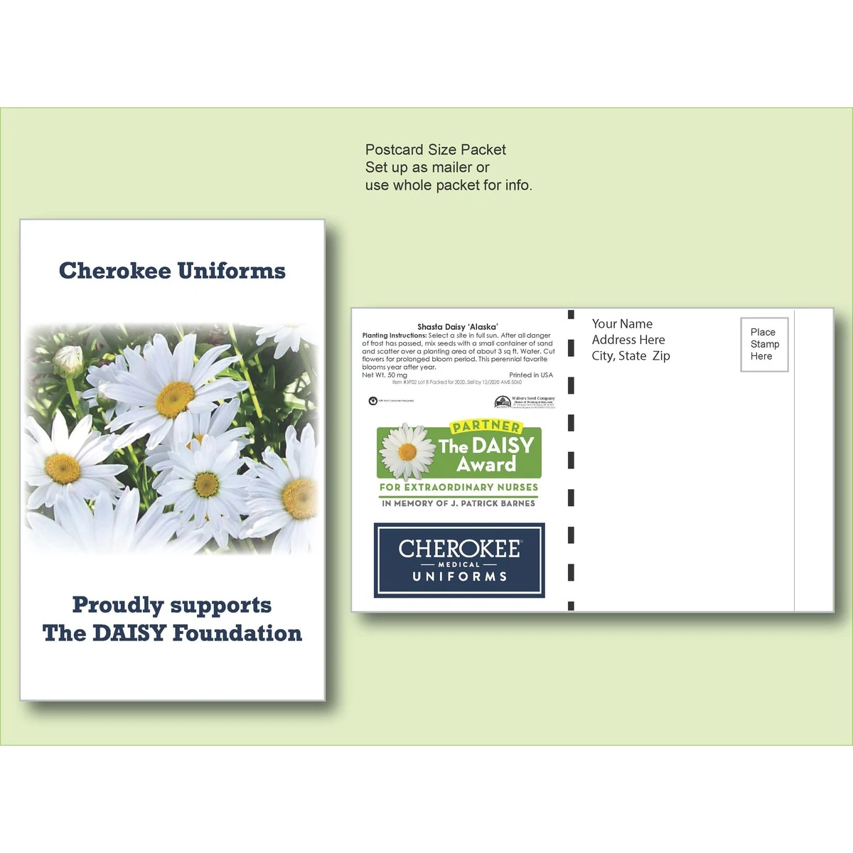 Shasta Daisy Flower Seed Packet - Postcard Mailer Size 4" x 6.5" 1