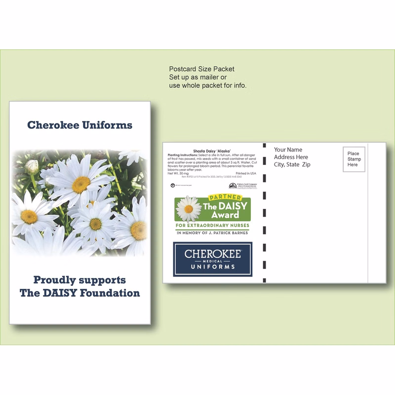 Shasta Daisy Flower Seed Packet - Postcard Mailer Size 4" x 6.5"