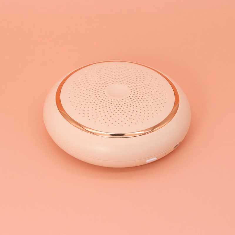 Mini Air Purifier