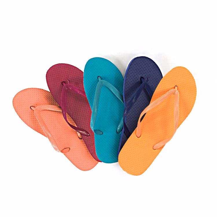 BigBox Women's Flip Flops - Bright Assortment