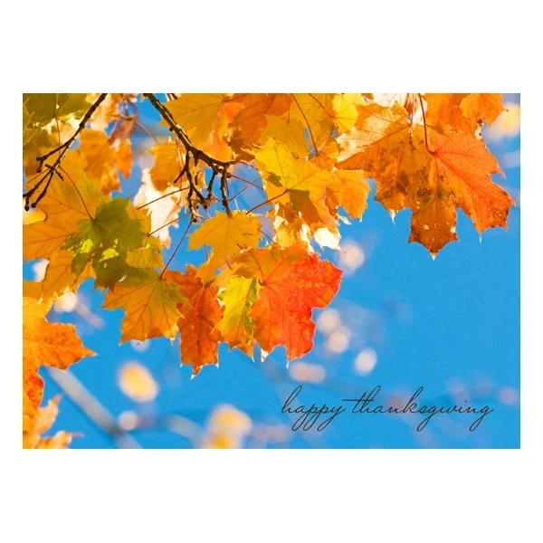 Seasonal Thanks Thanksgiving Card 1