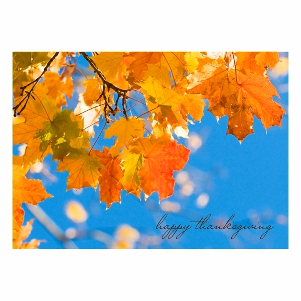 Seasonal Thanks Thanksgiving Card