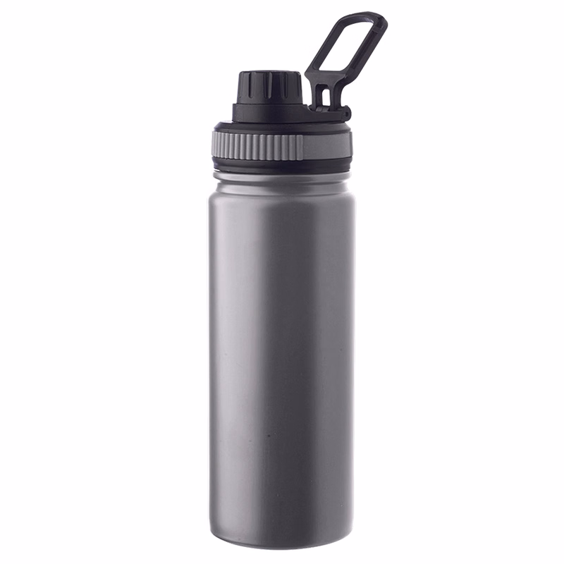 Stainless Steel Water Bottle with Handle - Single Wall, 23