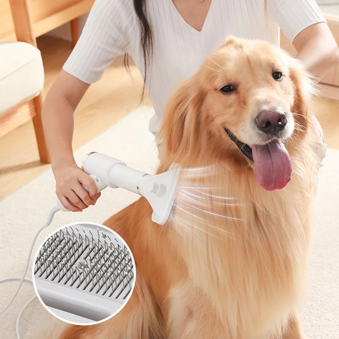 2 in 1 Pet Grooming Hair Dryer 1
