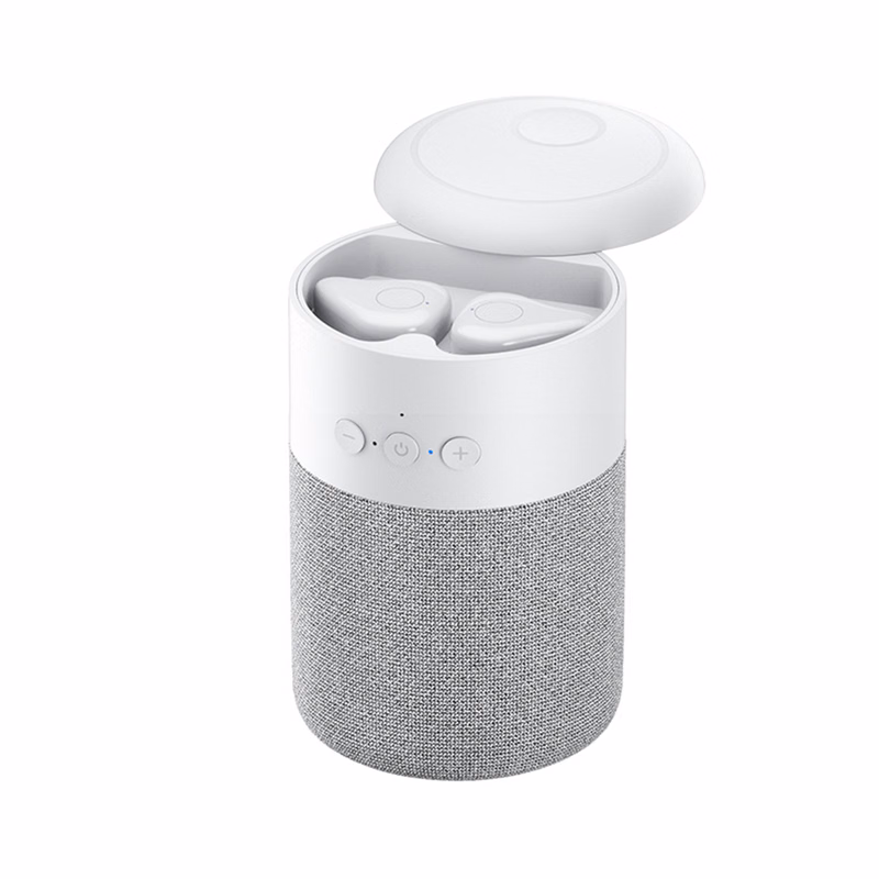 Loud 2 In 1 Bluetooth Speaker