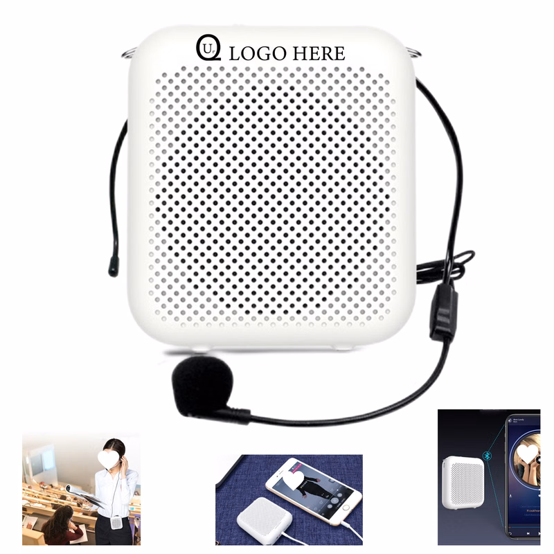 Portable Teacher Microphone Amplifier