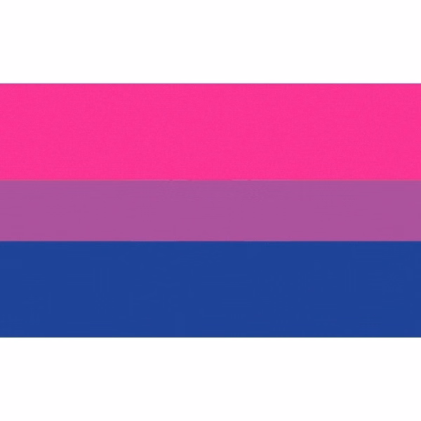 Bisexual Antenna Flag