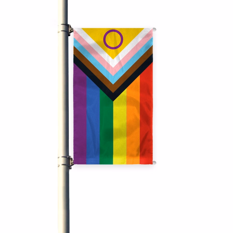 3'x8' Intersex Progressive Pride Pleated Light Post Banner