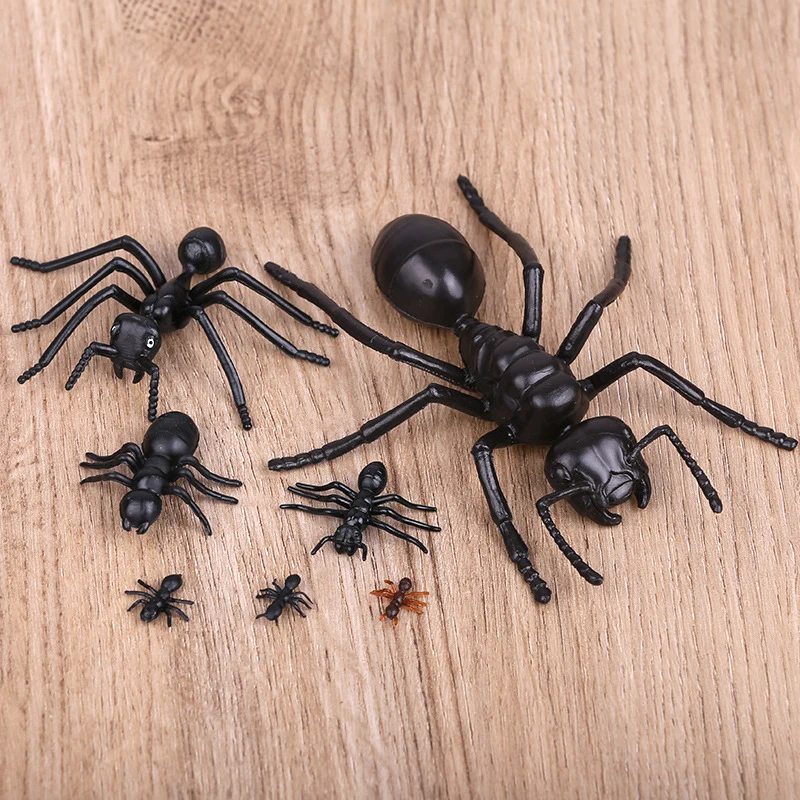 Plastic Ants with Magnet 1