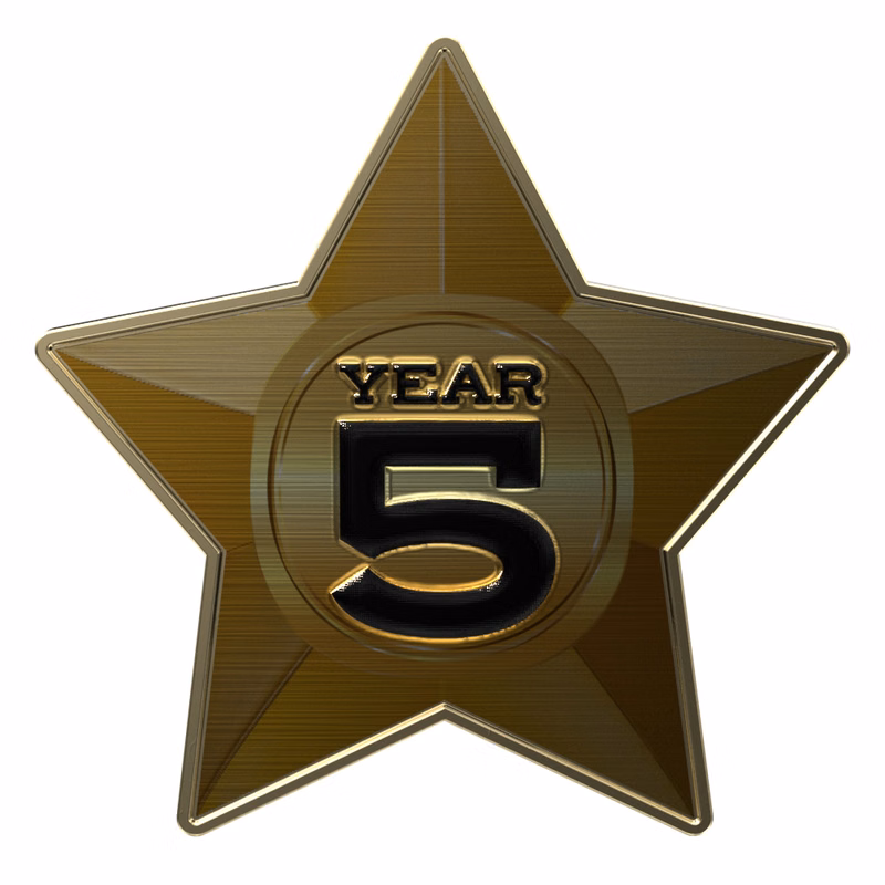 Express Bright Star Lapel Pin (1 1/4")