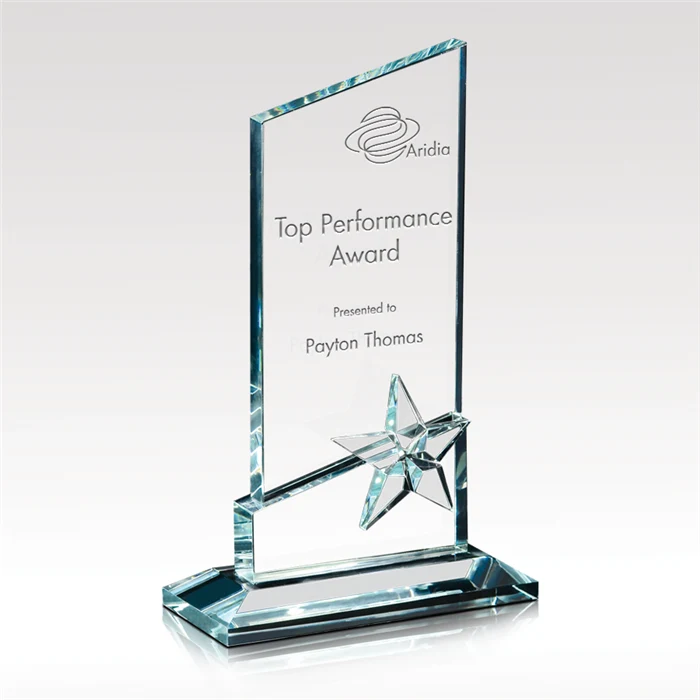 Star-Dust Glass Award 1