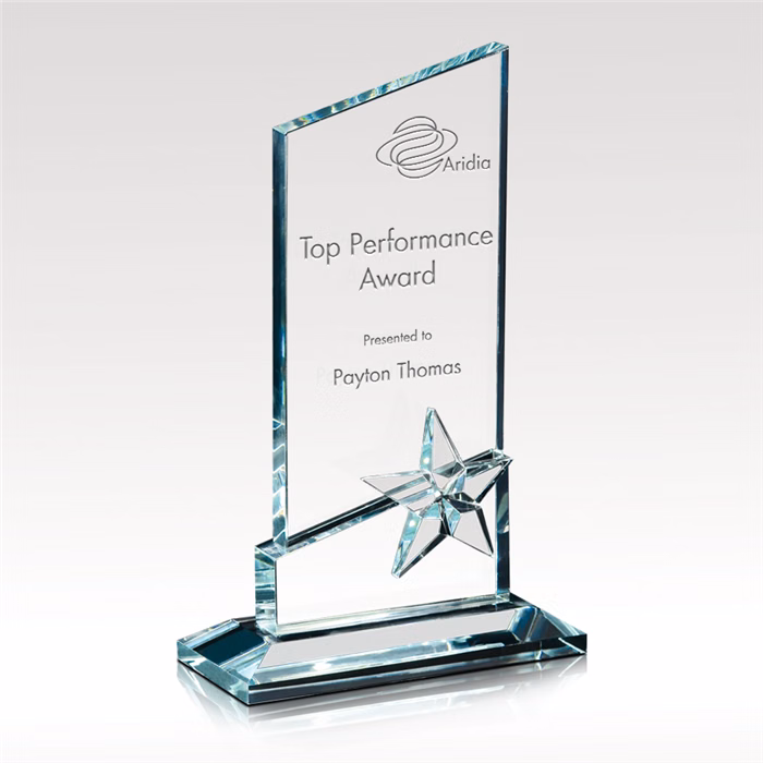 Star-Dust Glass Award