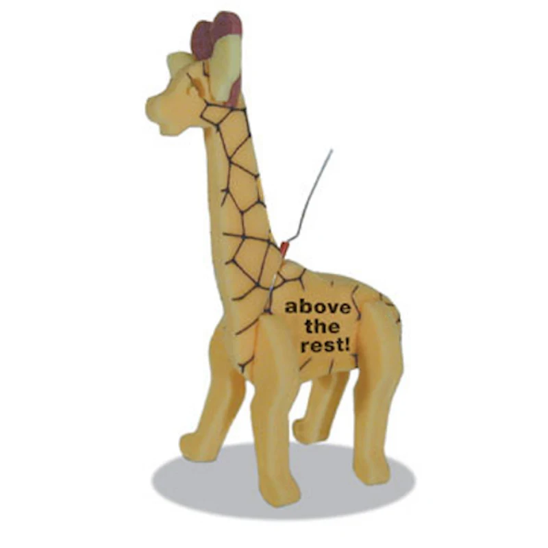 Giraffe on a leash 1