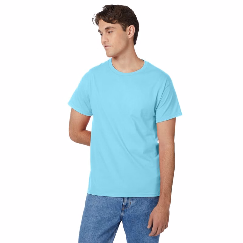 Hanes Men's Authentic-T T-Shirt