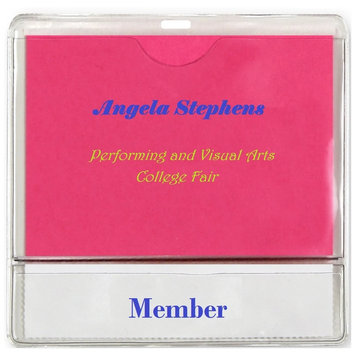 Vaccination Card Holder 1