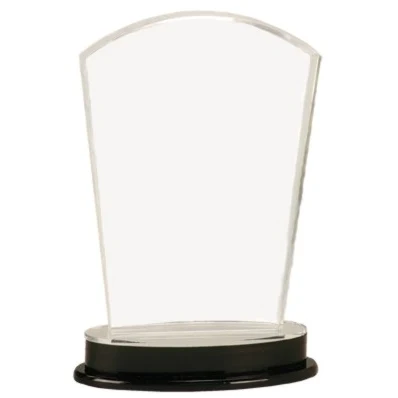 8 1/4" Arch Impress Silver Mirror Acrylic Award 1