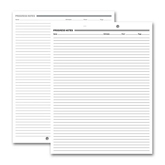 Progress Notes, Two-Hole Punch, White Ledger 1