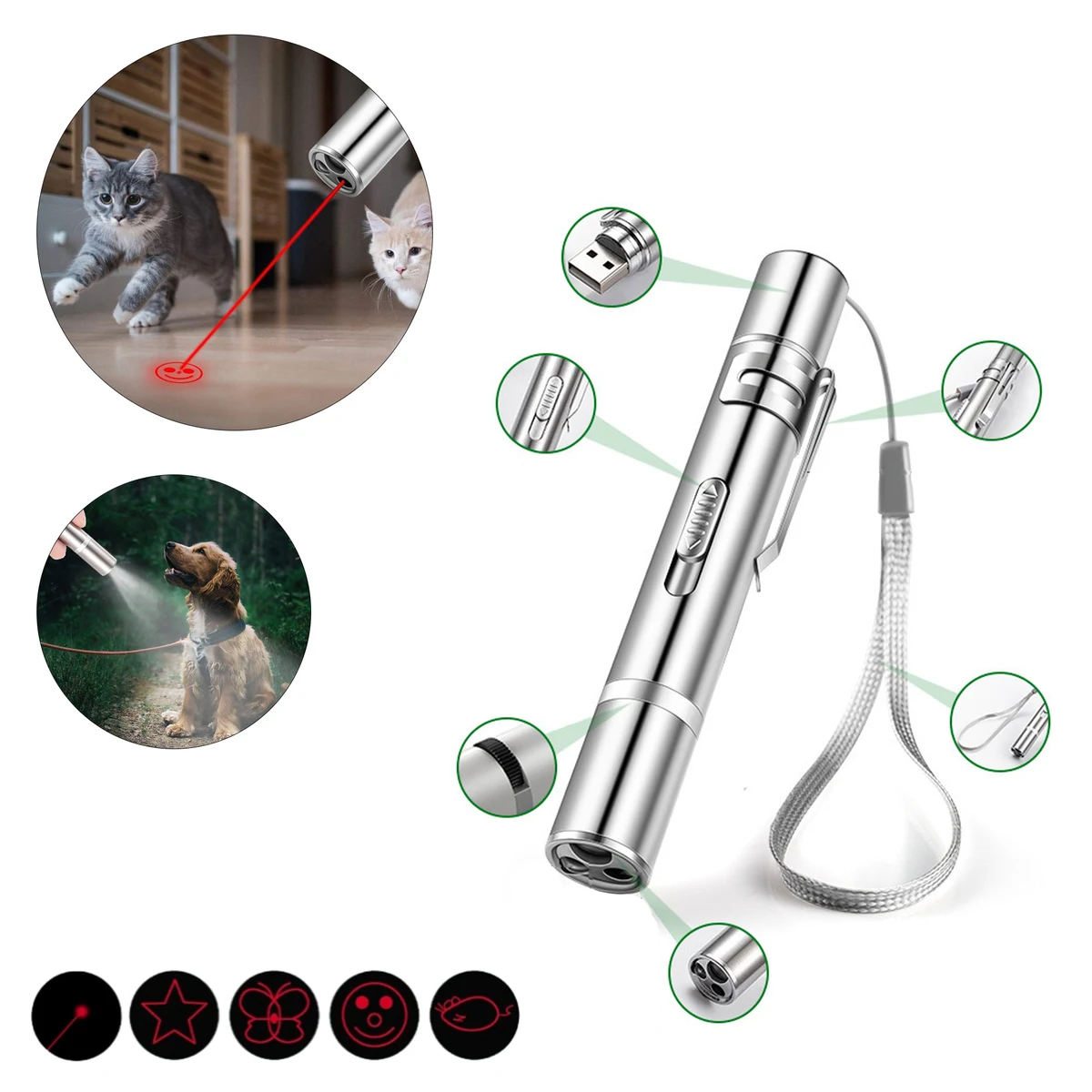 Laser Pointer Pen 1