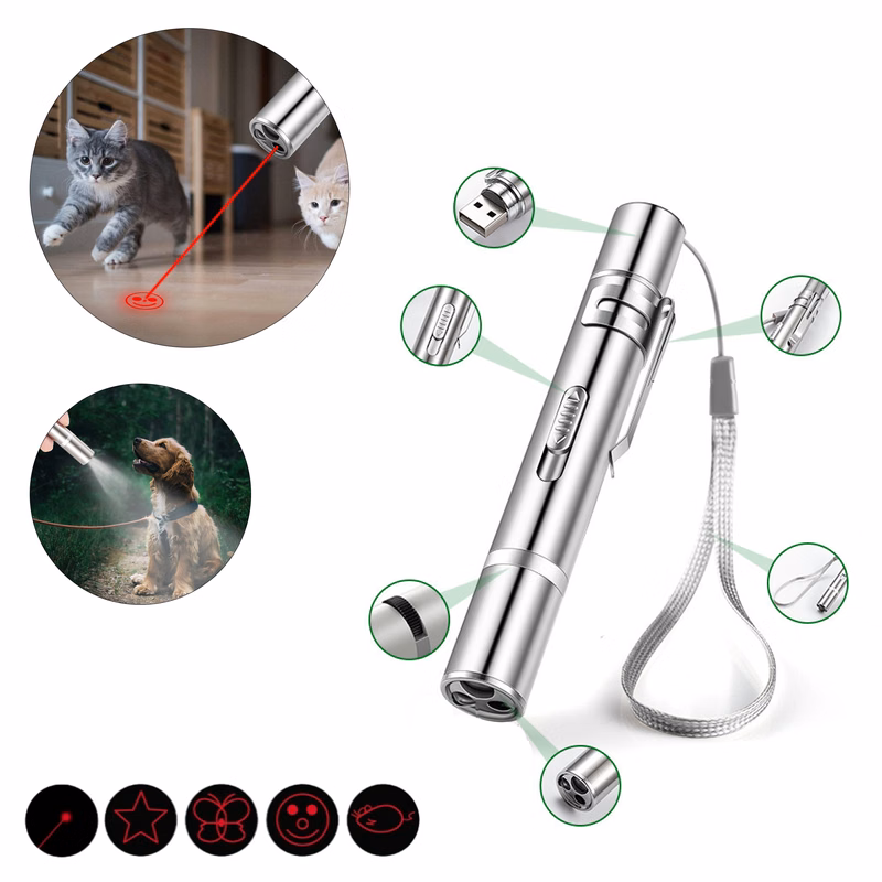 Laser Pointer Pen