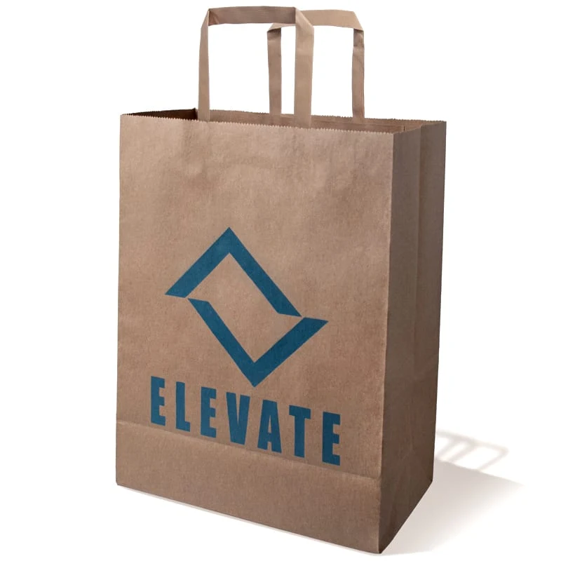 10 X 13 Inch Custom Paper Shopping Bag With Handles 1
