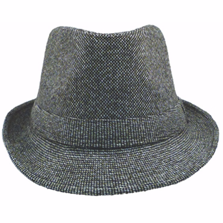 Newport Fedora Hat