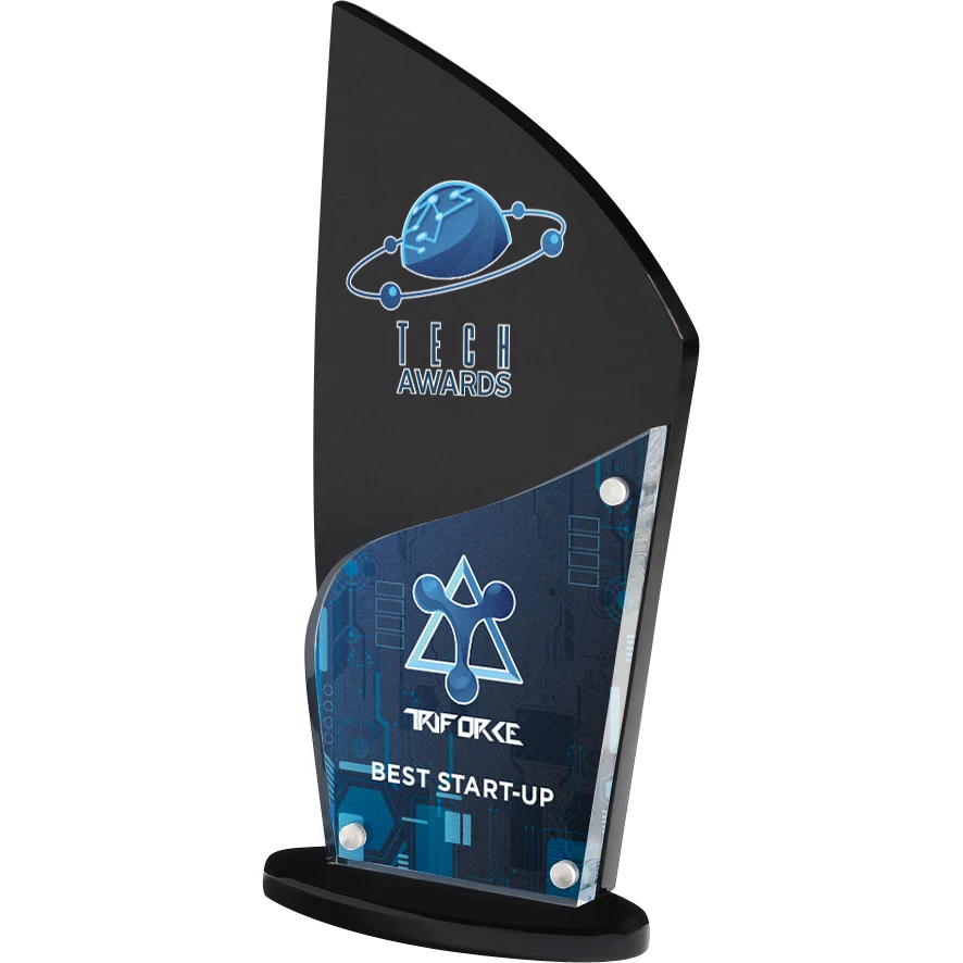 Torch Award (4 1/4" x 8 3/4" x 3/4") Full Colour PhotoImage 1