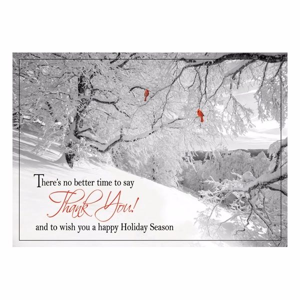 Glorious Thanks Holiday Cards