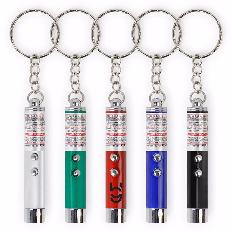 Laser Pointer LED Flashlight Key Chain
